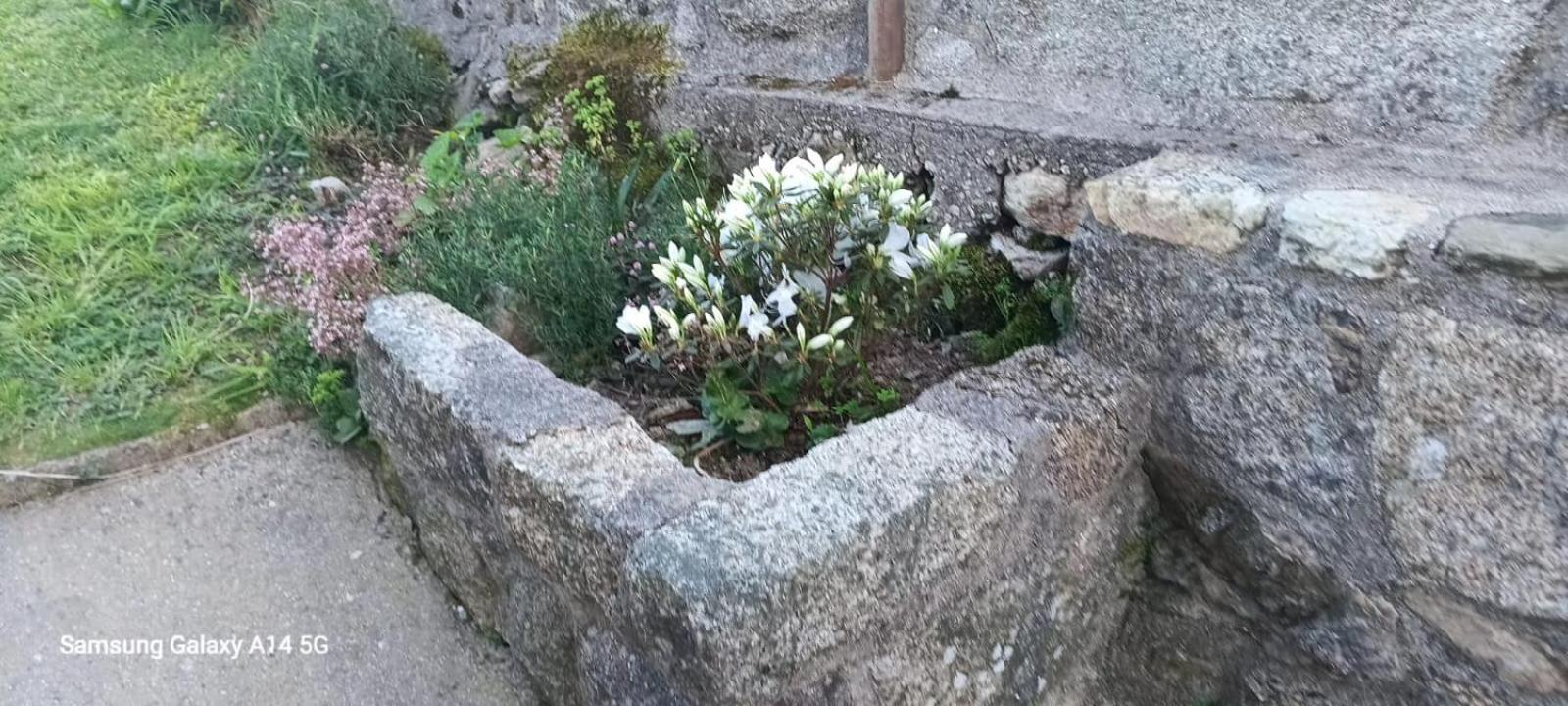 Villa Casa Da Fonte Pontevedra Habitación foto